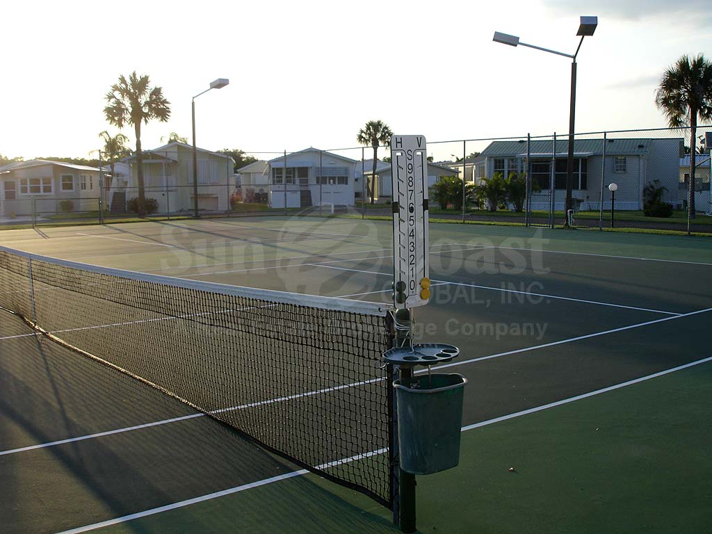 Palmetto Palms Tennis Courts